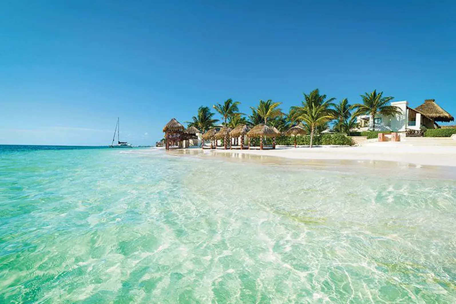 Sargazo en Riviera Maya: lo que necesitas saber antes de tu viaje familiar